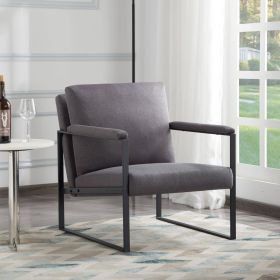 Metal Frame Accent Armchair (c0rlor: DGY) Metal Frame Accent Armchair (c0rlor: DGY)